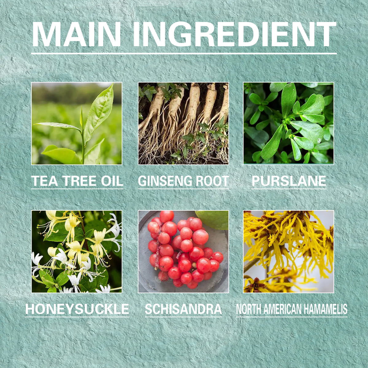 Main ingredients of Cystic Acne Treatment: Tea Tree Oil, Ginseng Root, Purslane, Honeysuckle, Schisandra, North American Hamamelis.